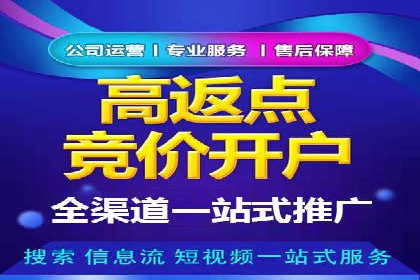 案例解读：SEO与SEM优化助力电商崛起