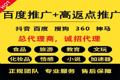 百度推广平台：提升转化率的广告策略案例