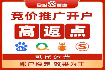 百度推广公司案例分析：精准定位，助力企业精准营销